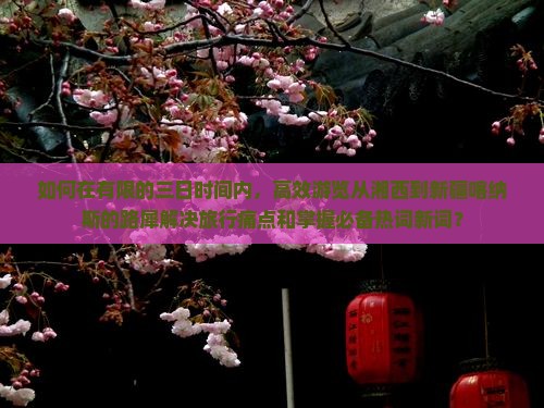 如何在有限的三日时间内，高效游览从湘西到新疆喀纳斯的路犀解决旅行痛点和掌握必备热词新词？