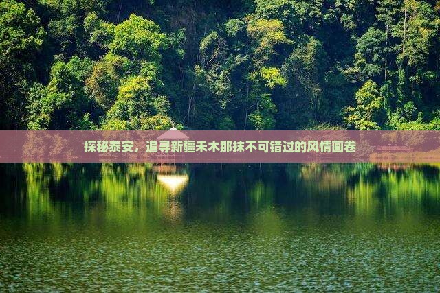 探秘泰安，追寻新疆禾木那抹不可错过的风情画卷