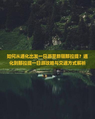 如何从通化出发一日游至新疆那拉提？通化到那拉提一日游攻略与交通方式解析