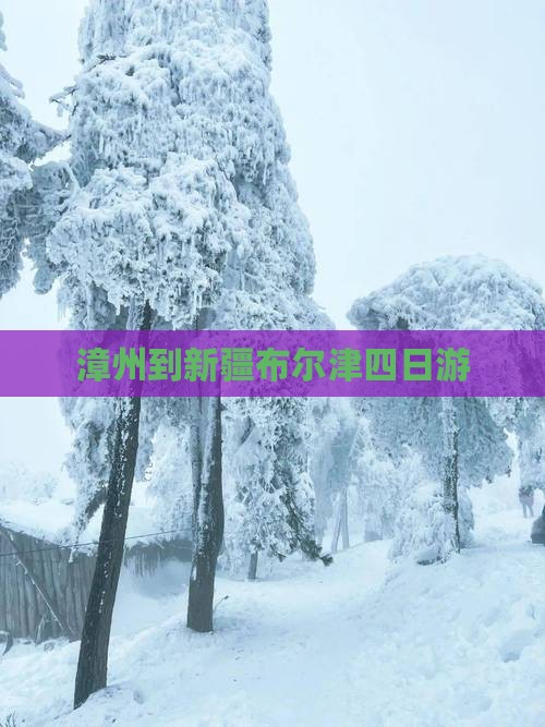 漳州到新疆布尔津四日游