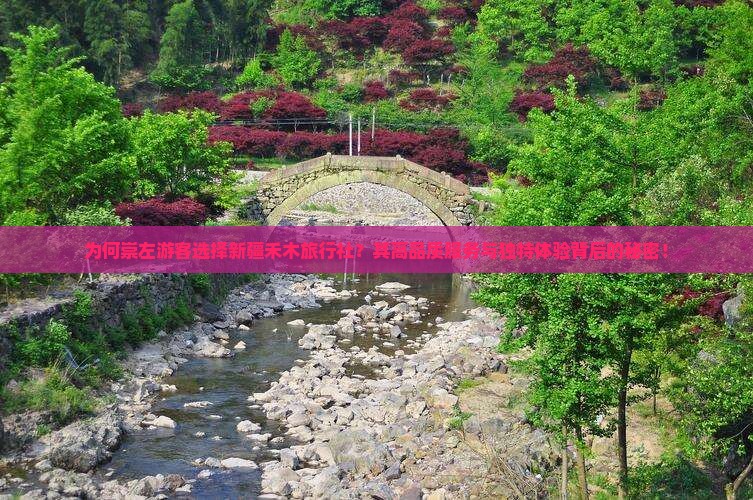 为何崇左游客选择新疆禾木旅行社？其高品质服务与独特体验背后的秘密！