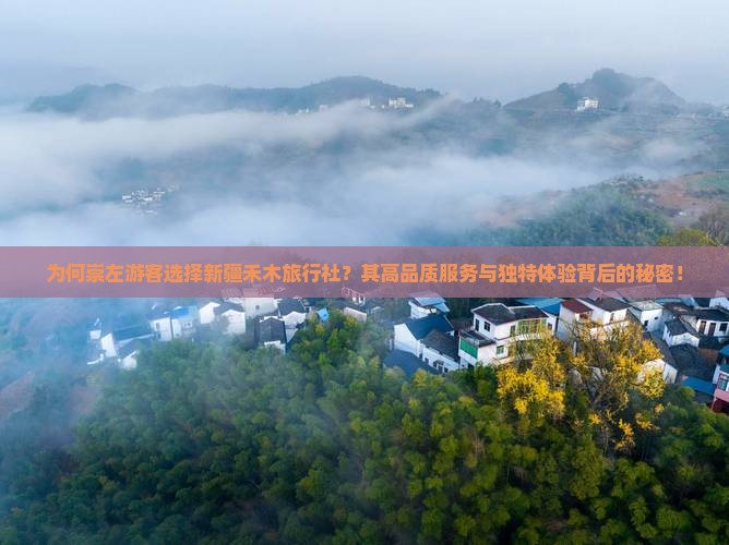 为何崇左游客选择新疆禾木旅行社？其高品质服务与独特体验背后的秘密！