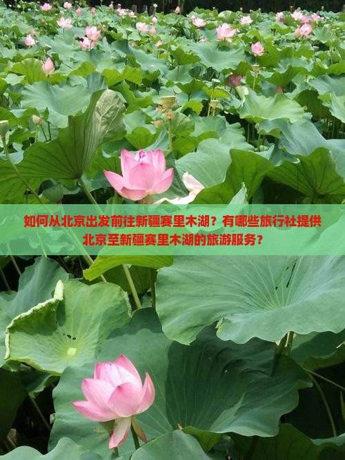 如何从北京出发前往新疆赛里木湖？有哪些旅行社提供北京至新疆赛里木湖的旅游服务？