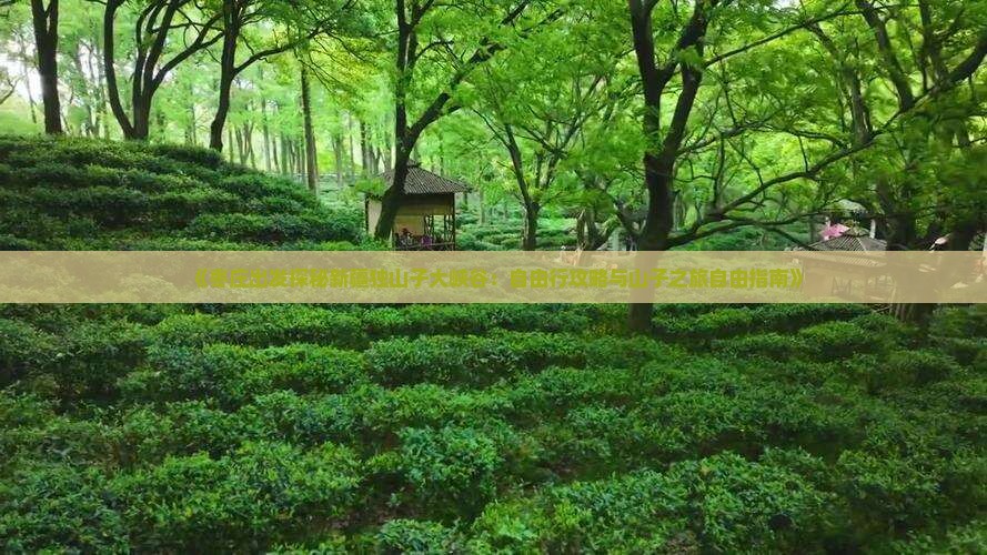 《枣庄出发探秘新疆独山子大峡谷：自由行攻略与山子之旅自由指南》