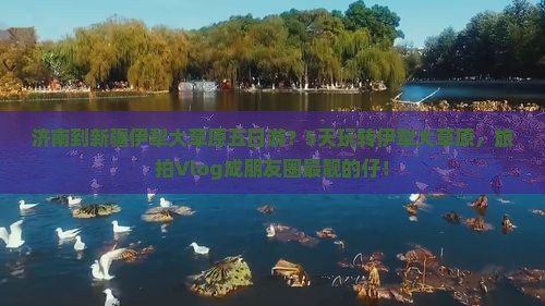 济南到新疆伊犁大草原五日游？5天玩转伊犁大草原，旅拍Vlog成朋友圈最靓的仔！