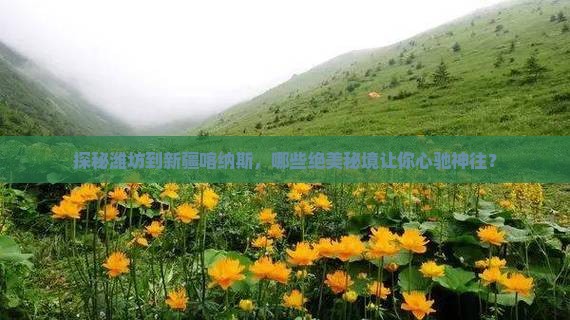 探秘潍坊到新疆喀纳斯，哪些绝美秘境让你心驰神往？