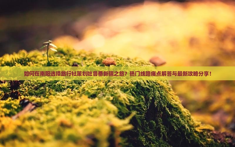 如何在南阳选择旅行社策划吐鲁番新疆之旅？热门线路痛点解答与最新攻略分享！