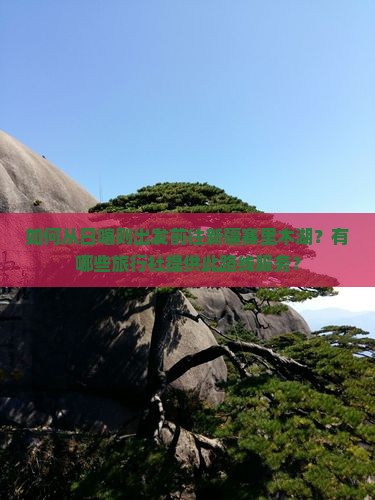 如何从日喀则出发前往新疆赛里木湖？有哪些旅行社提供此路线服务？