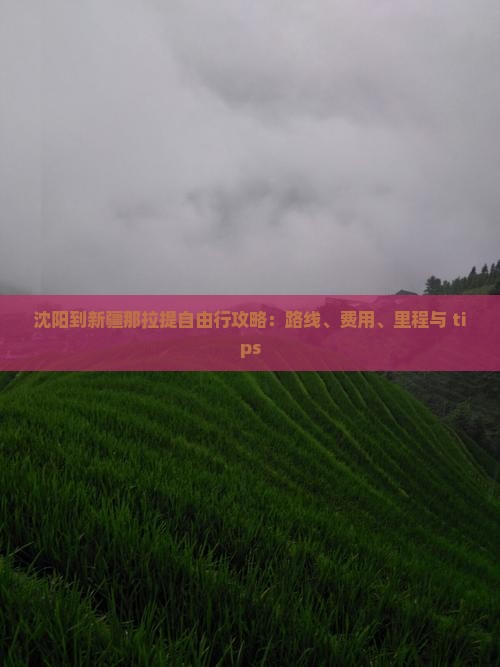 沈阳到新疆那拉提自由行攻略：路线、费用、里程与 tips