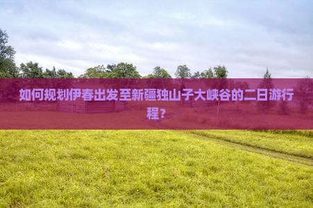 如何规划伊春出发至新疆独山子大峡谷的二日游行程？