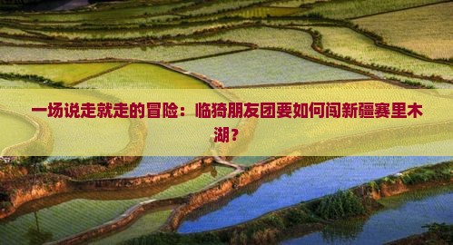 一场说走就走的冒险：临猗朋友团要如何闯新疆赛里木湖？