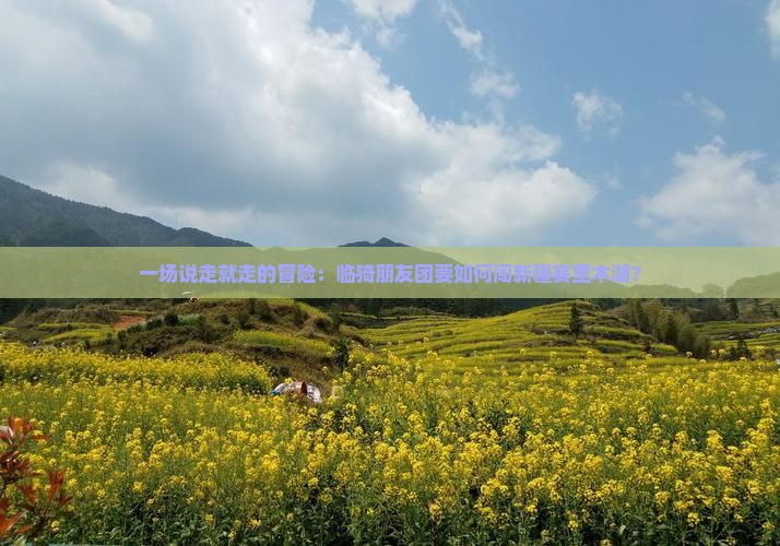 一场说走就走的冒险：临猗朋友团要如何闯新疆赛里木湖？