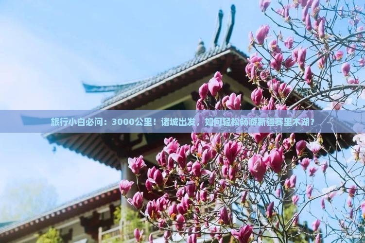 旅行小白必问：3000公里！诸城出发，如何轻松畅游新疆赛里木湖？