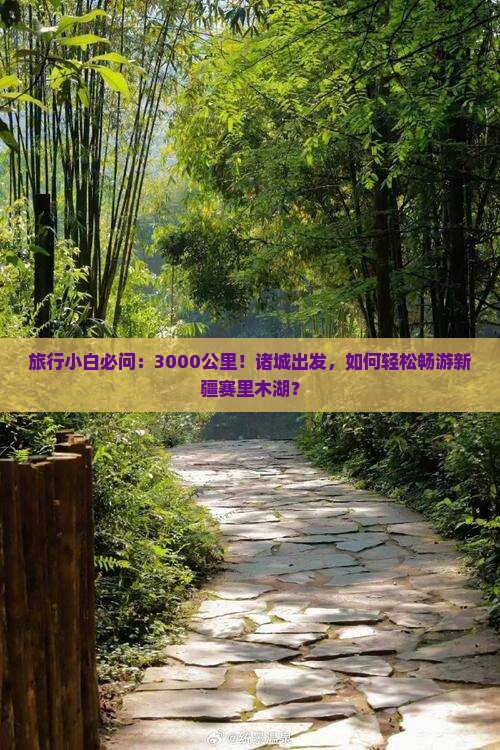 旅行小白必问：3000公里！诸城出发，如何轻松畅游新疆赛里木湖？