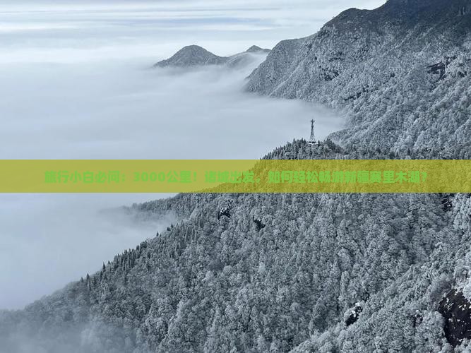 旅行小白必问：3000公里！诸城出发，如何轻松畅游新疆赛里木湖？
