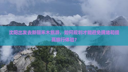 沈阳出发去新疆禾木旅游，如何规划才能避免拥堵和提高旅行体验？