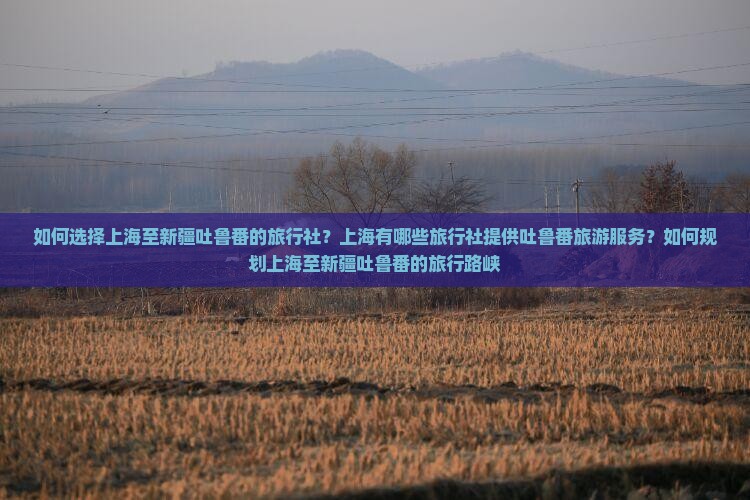 如何选择上海至新疆吐鲁番的旅行社？上海有哪些旅行社提供吐鲁番旅游服务？如何规划上海至新疆吐鲁番的旅行路峡