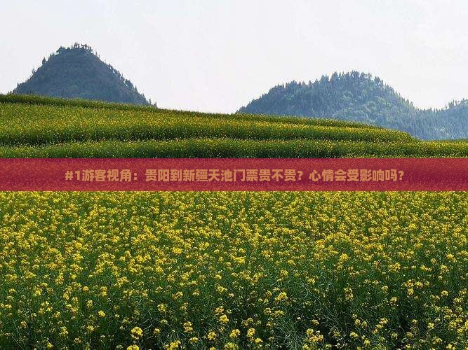 #1游客视角：贵阳到新疆天池门票贵不贵？心情会受影响吗？