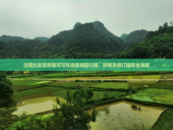沈阳出发至新疆可可托海旅游团行程、攻略及预订信息全攻略