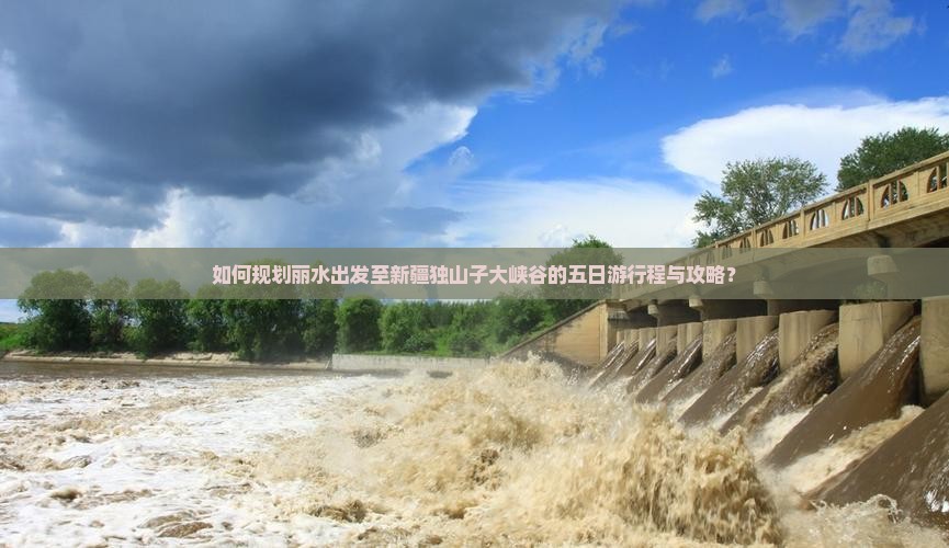 如何规划丽水出发至新疆独山子大峡谷的五日游行程与攻略？