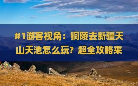 #1游客视角：铜陵去新疆天山天池怎么玩？超全攻略来了！