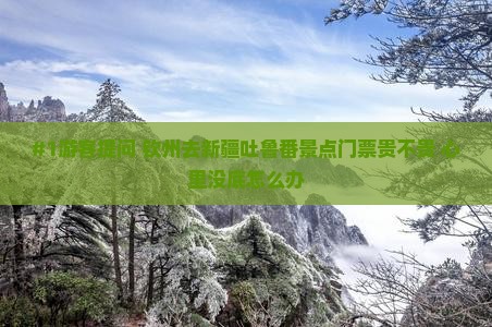 #1游客提问 钦州去新疆吐鲁番景点门票贵不贵 心里没底怎么办