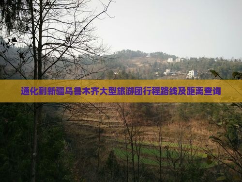 通化到新疆乌鲁木齐大型旅游团行程路线及距离查询
