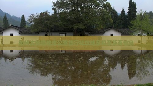 衢州去新疆独库公路旅行社攻略及机票距离信息