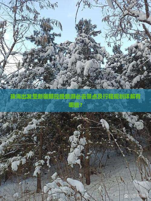 珠海出发至新疆那拉提旅游必去景点及行程规划详解有哪些？