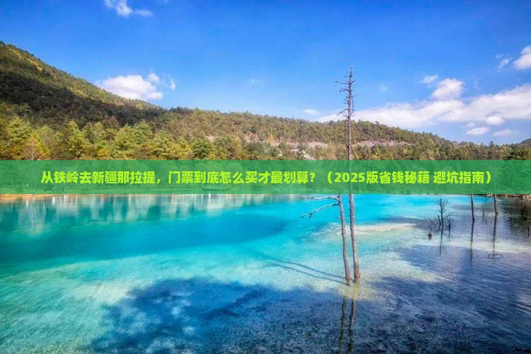 铁岭到新疆那拉提门票