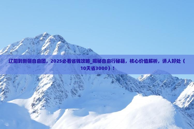 辽阳到新疆自由团