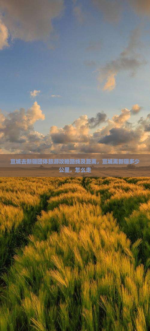 宣城去新疆团体旅游