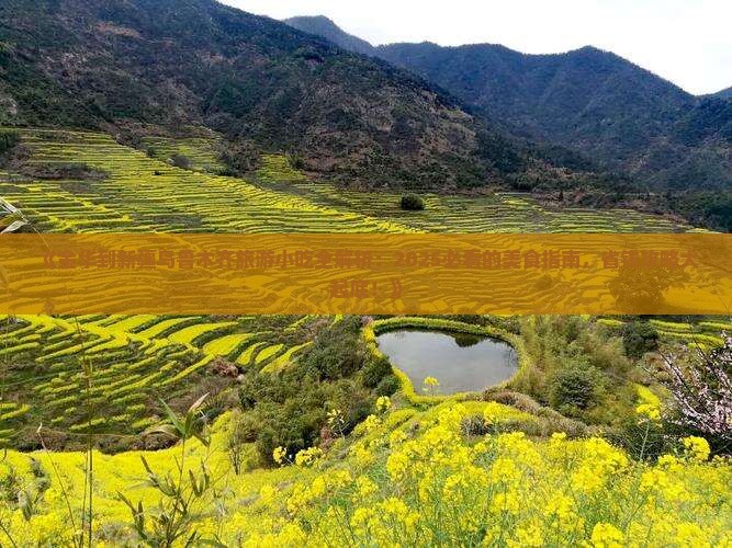 金华到新疆乌鲁木齐旅游小吃