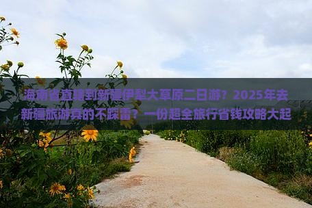 海南省直辖到新疆伊犁大草原二日游