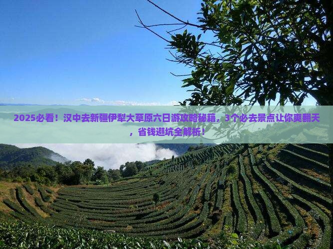 汉中去新疆伊犁大草原六日游