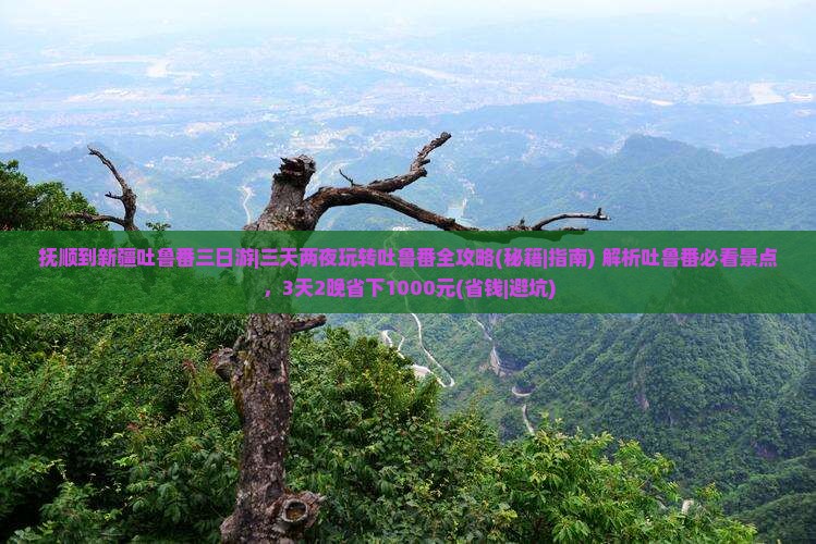 抚顺到新疆吐鲁番三日游