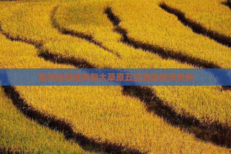 宿州去新疆伊犁大草原五日游