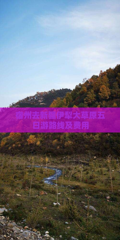 宿州去新疆伊犁大草原五日游