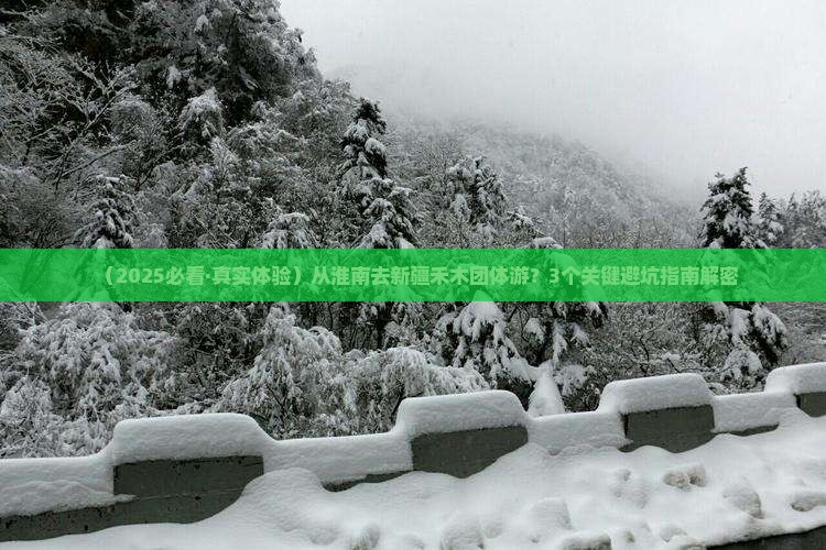 淮南到新疆禾木团体旅游