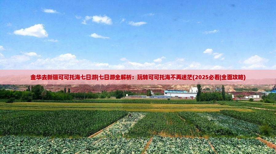 金华去新疆可可托海七日游