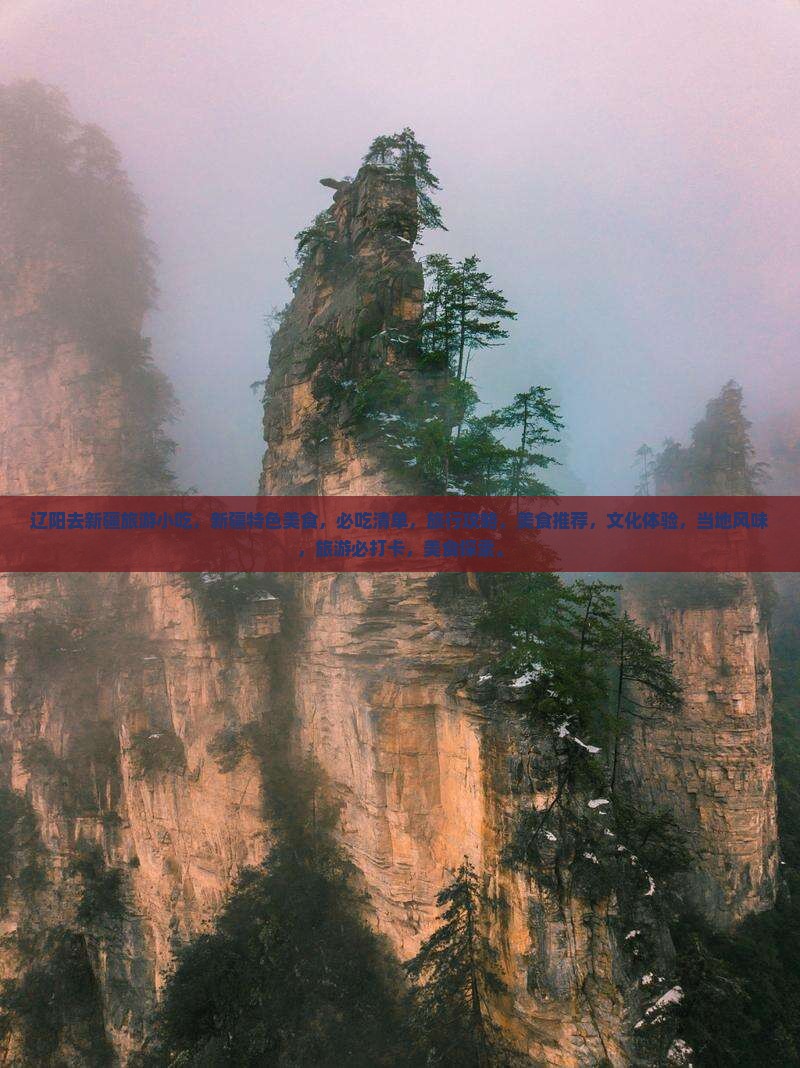 辽阳去新疆旅游小吃