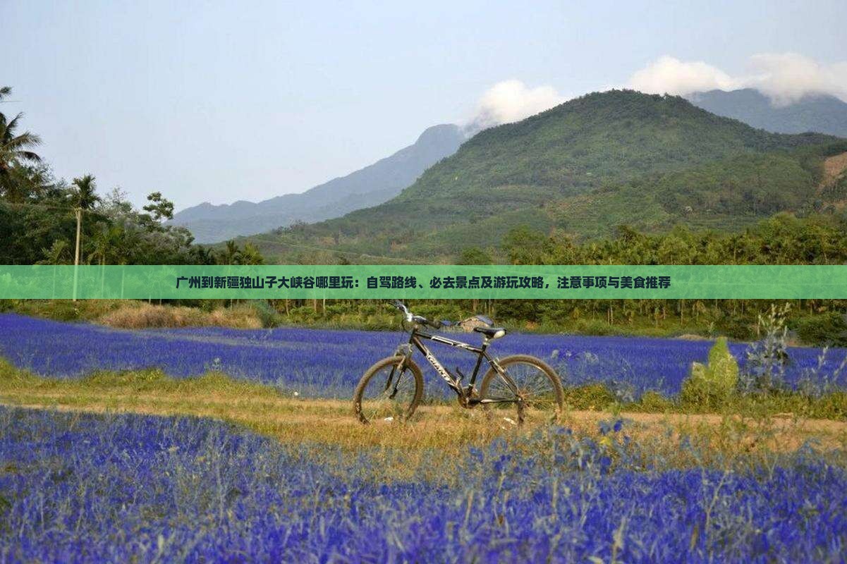 广州到新疆独山子大峡谷哪里玩