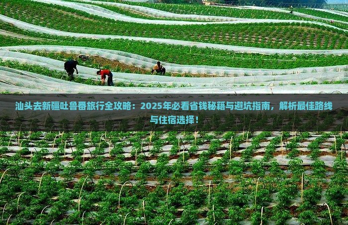 汕头去新疆吐鲁番旅行社