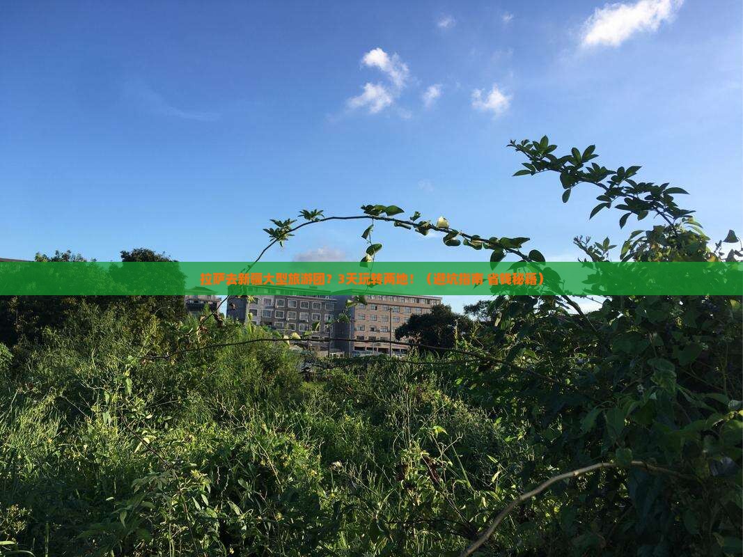 拉萨去新疆大型旅游团