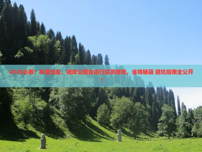 东营去新疆独库公路自由团