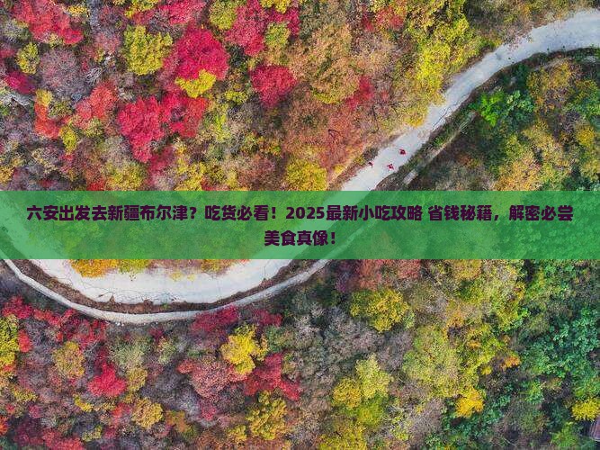 六安到新疆布尔津旅游小吃