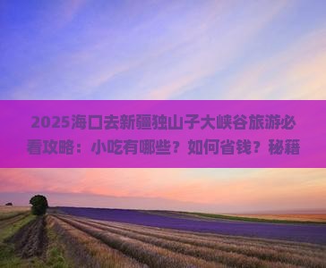 海口去新疆独山子大峡谷旅游小吃
