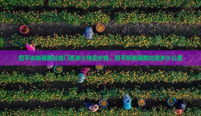 四平去新疆那拉提门票