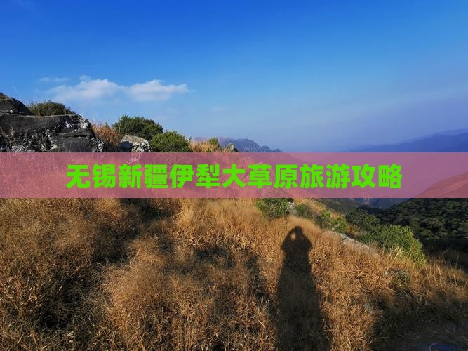 无锡到新疆伊犁大草原攻略