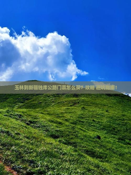 玉林到新疆独库公路门票